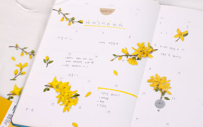 Appree Pressed Flower Sticker - Forsythia