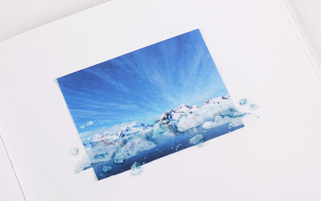 Appree Nature Sticker - Ice