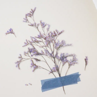 Appree Pressed Flower Sticker -  Misty Blue