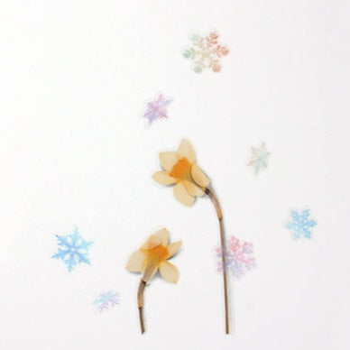 Appree Nature Sticker - Snow